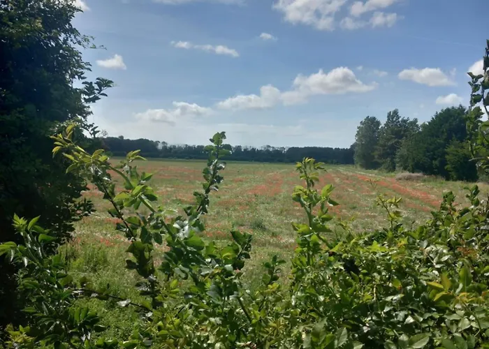 Luxe tent Roulotte Chez France